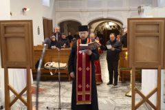 a-IMG_7196